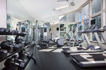 A gym with weights and cardio equipment and windows